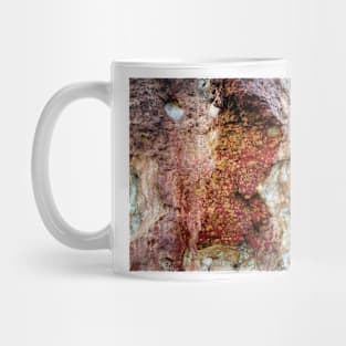 Rock patterns, Mornington Peninsula Mug